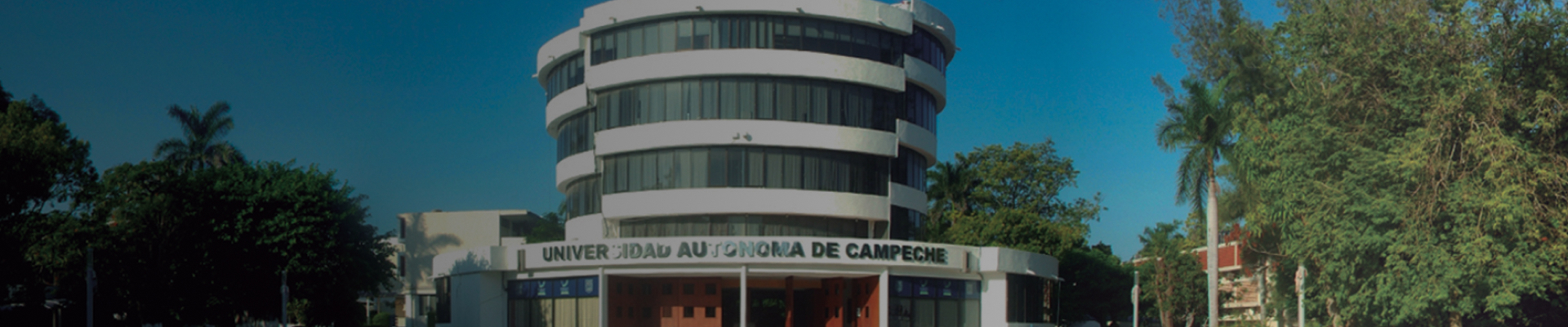 Consulta las convocatorias